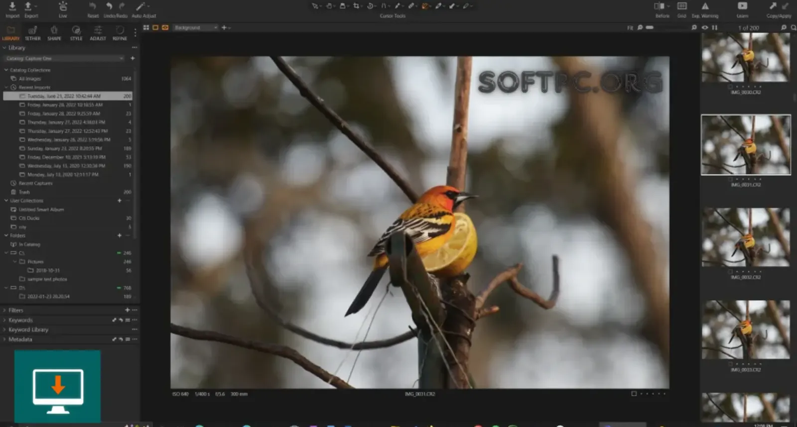 Capture One Pro Download para fotógrafos profissionais