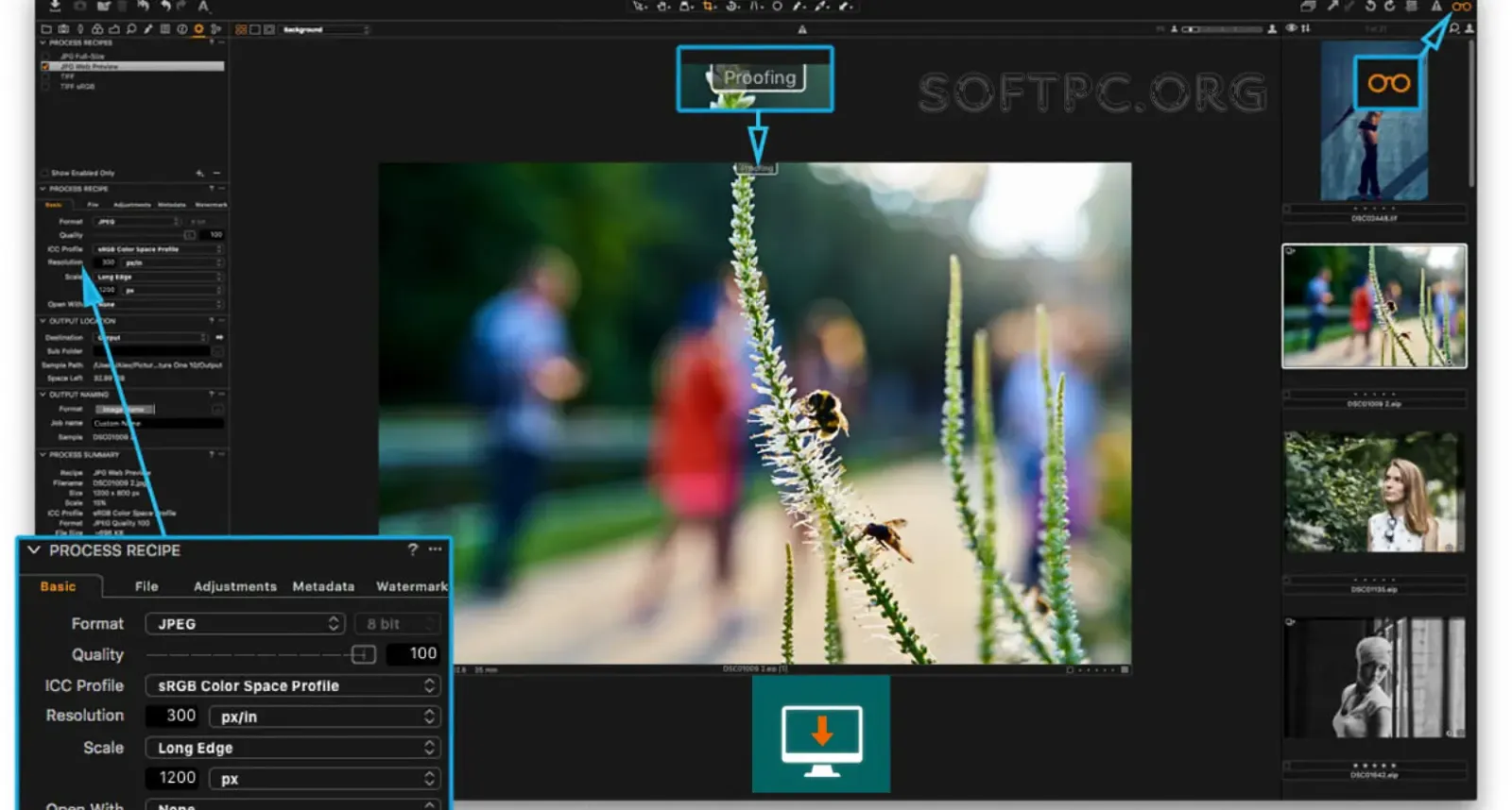 Capture One Pro Download para Windows e macOS com guia de instalação