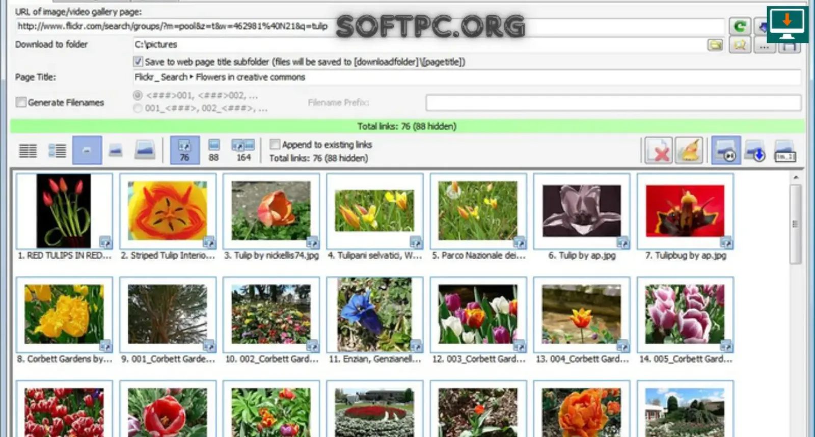 Bulk Image Downloader para baixar imagens em massa