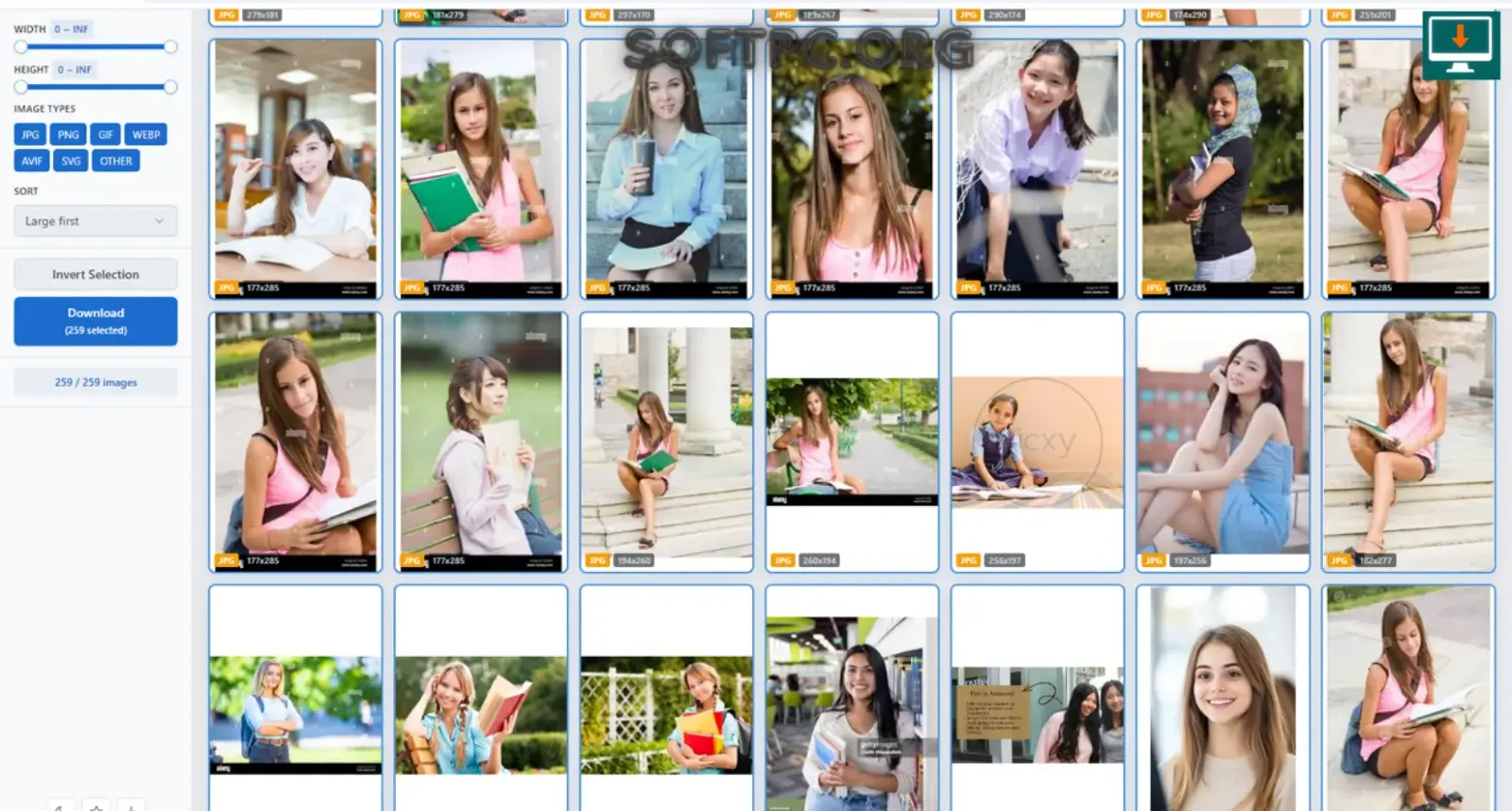 como usar Bulk Image Downloader para baixar imagens