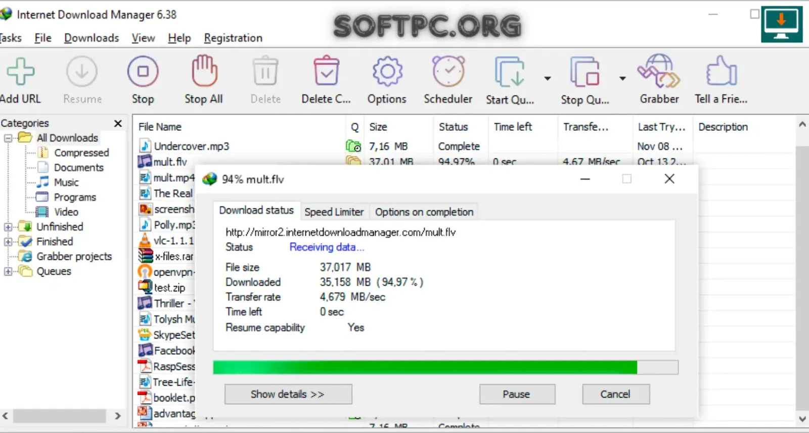 Internet Download Manager grátis para Windows