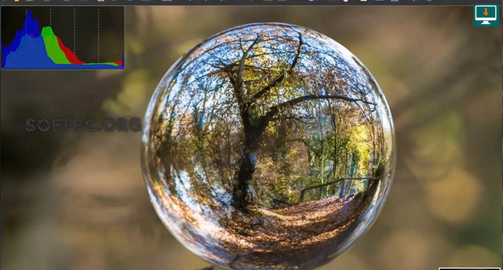 XnView MP baixar grátis para Windows