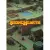 Stonehearth